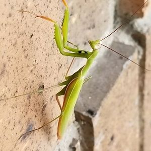 Meet your Posher, Brendon